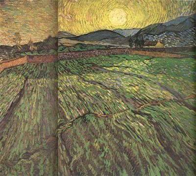 Vincent Van Gogh Enclosed Field with Risihng Sun (nn04) China oil painting art